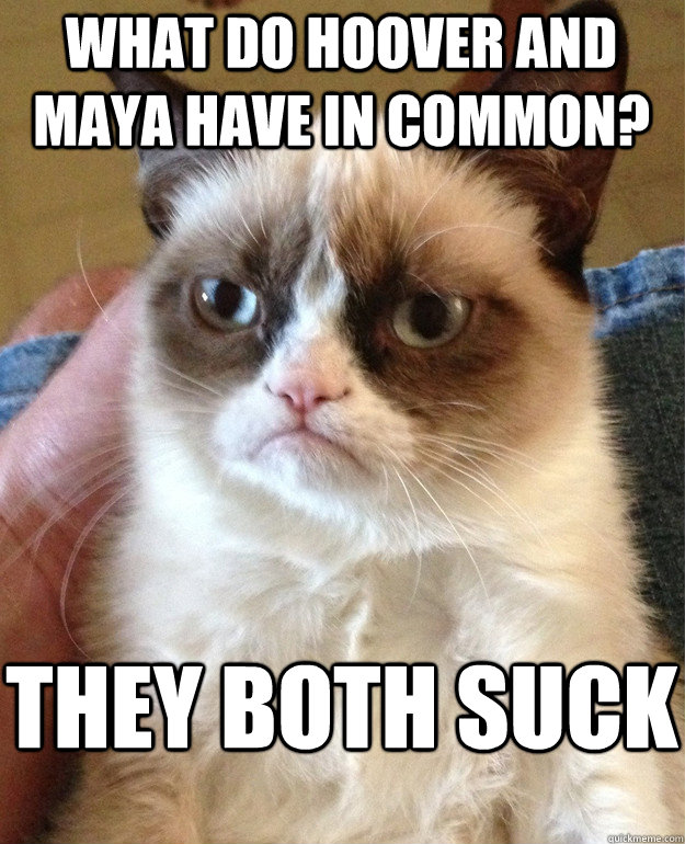 what do hoover and maya have in common? they both suck  Grumpy Cat