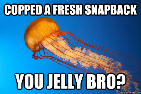 Copped a fresh snapback You Jelly Bro?  