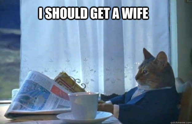 I should get a wife - I should get a wife  Sophisticated Cat