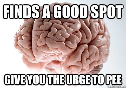 Finds a good spot Give you the urge to pee  Scumbag Brain