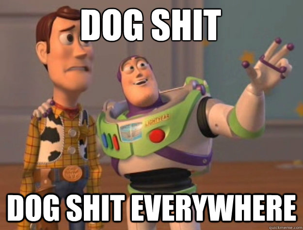 dog shit dog shit everywhere  toystory everywhere