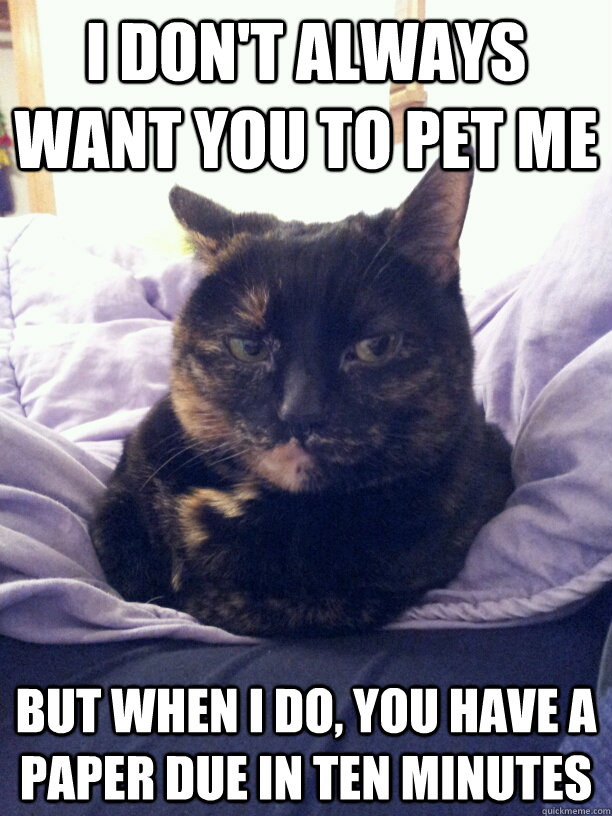I don't always want you to pet me but when i do, you have a paper due in ten minutes  