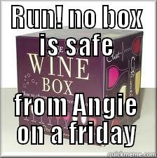 RUN! NO BOX IS SAFE FROM ANGIE ON A FRIDAY Misc