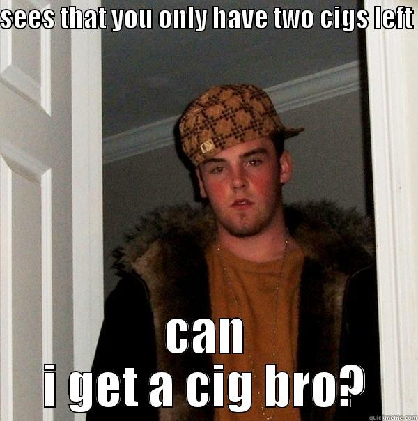 SEES THAT YOU ONLY HAVE TWO CIGS LEFT  CAN I GET A CIG BRO? Scumbag Steve