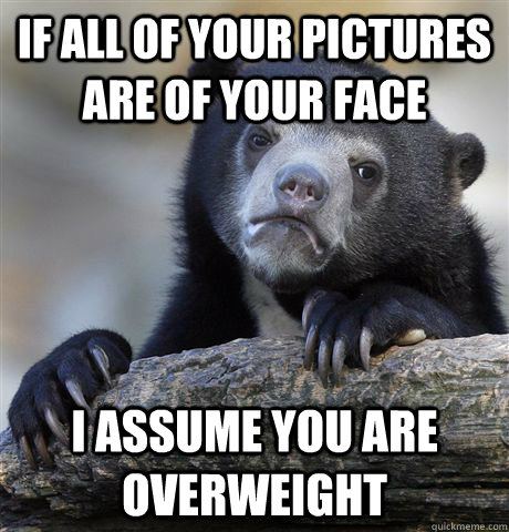 If all of your pictures are of your face I assume you are overweight - If all of your pictures are of your face I assume you are overweight  Confession Bear