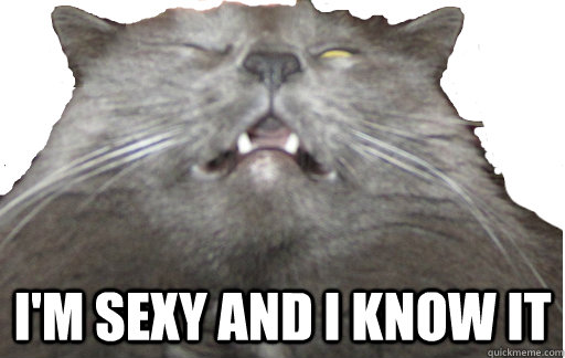  I'm sexy and I know it  Fatcat