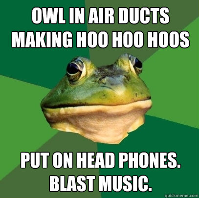 OWL IN AIR DUCTS MAKING HOO HOO HOOS PUT ON HEAD PHONES. BLAST MUSIC.  Foul Bachelor Frog