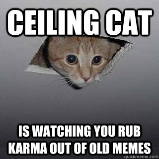 Ceiling cat is watching you rub karma out of old memes  Ceiling Cat
