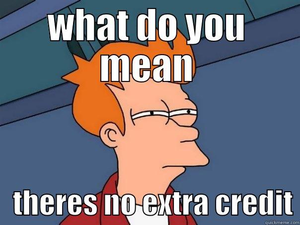 WHAT DO YOU MEAN    THERES NO EXTRA CREDIT Futurama Fry