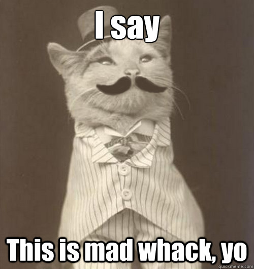I say This is mad whack, yo  Original Business Cat