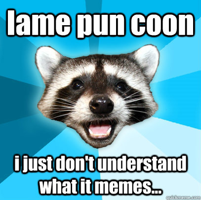 lame pun coon i just don't understand what it memes...  Lame Pun Coon