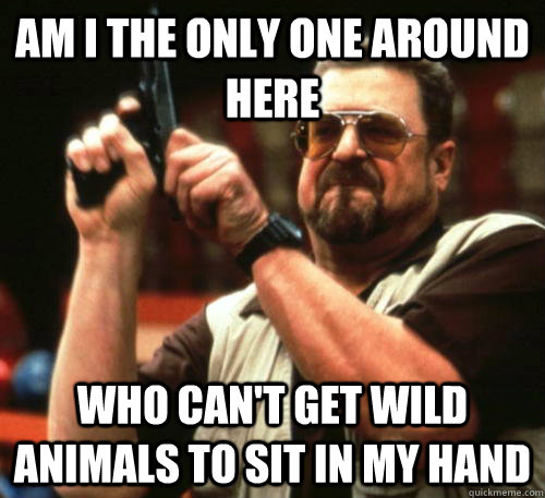 Am i the only one around here who can't get wild animals to sit in my hand   Am I The Only One Around Here