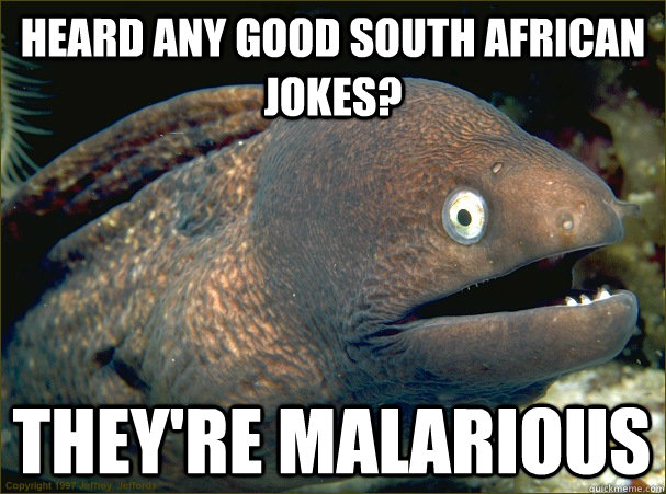 Heard any good South African jokes? They're Malarious - Heard any good South African jokes? They're Malarious  Bad Joke Eel