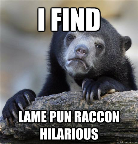 I find Lame pun raccon hilarious  Confession Bear