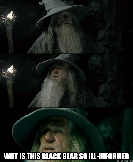  Why is this black bear so ill-informed  Confused Gandalf
