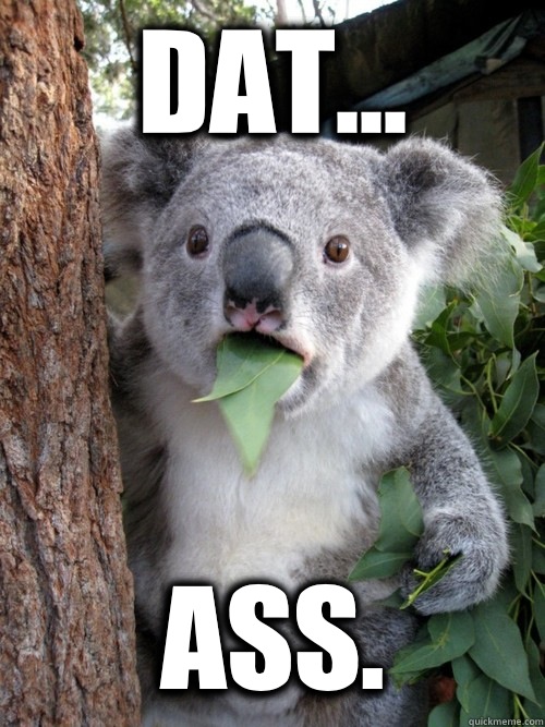 Dat... Ass.  koala bear