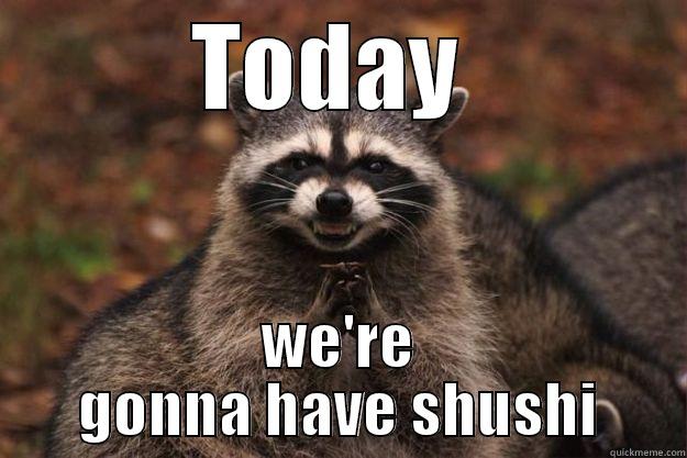 TODAY  WE'RE GONNA HAVE SHUSHI Evil Plotting Raccoon