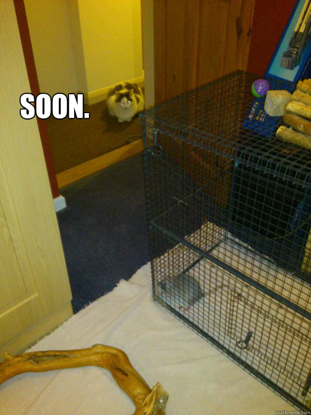 SOON. - SOON.  Soon.
