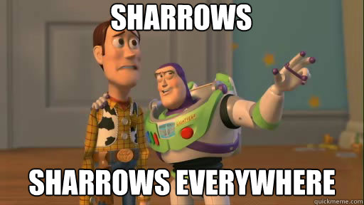 Sharrows Sharrows everywhere  Everywhere