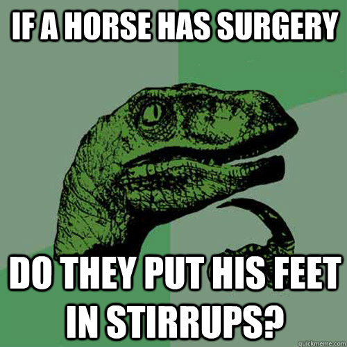 If a horse has surgery do they put his feet in stirrups?  Philosoraptor
