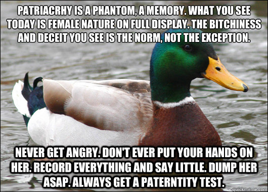 Patriacrhy is a phantom, a memory. what you see today is female nature on full display. the bitchiness and deceit you see is the norm, not the exception. Never get angry. Don't ever put your hands on her. Record everything and say little. Dump her asap. A  Actual Advice Mallard
