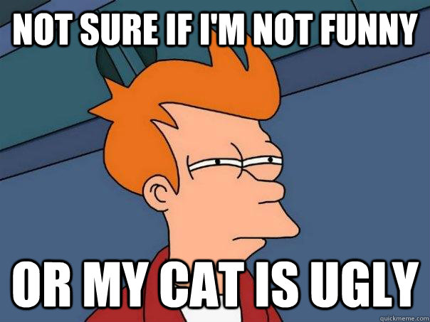Not sure if I'm not funny Or my cat is ugly  Futurama Fry
