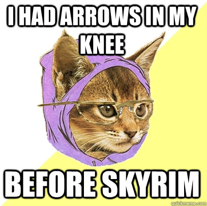 I had arrows in my knee Before Skyrim  Hipster Kitty