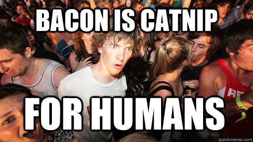 Bacon is Catnip for humans  Sudden Clarity Clarence