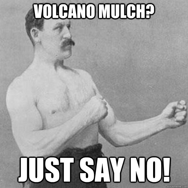 Volcano Mulch? just say no!   overly manly man