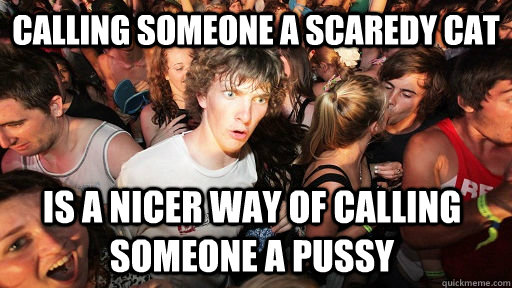 calling someone a scaredy cat  is a nicer way of calling someone a pussy  Sudden Clarity Clarence