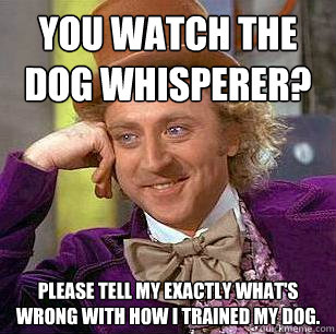 You watch The Dog Whisperer? Please tell my exactly what's wrong with how I trained my dog. - You watch The Dog Whisperer? Please tell my exactly what's wrong with how I trained my dog.  Condescending Wonka