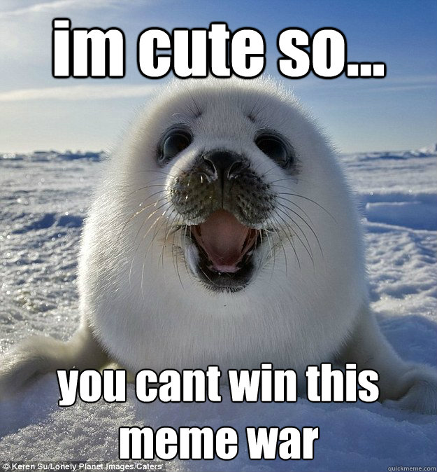 im cute so... you can´t win this meme war  Easily Pleased Seal