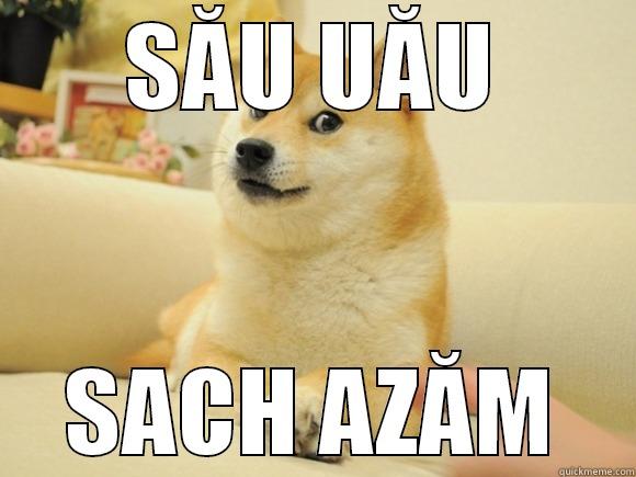SĂU UĂU SACH AZĂM Misc