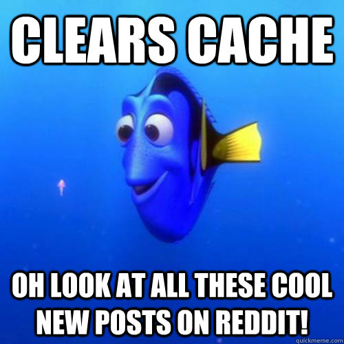 Clears cache Oh look at all these cool new posts on reddit!  dory