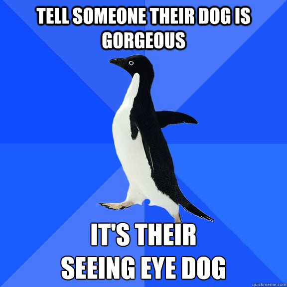 Tell someone their dog is gorgeous It's their 
seeing eye dog  Socially Awkward Penguin