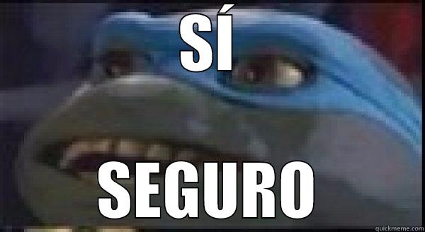 SÍ SEGURO Success Kid