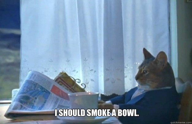I should smoke a bowl. - I should smoke a bowl.  Sophisticated Cat