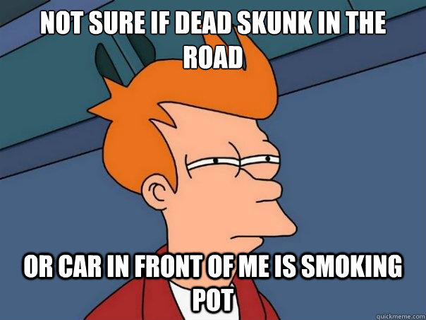 Not sure if dead skunk in the road or car in front of me is smoking pot  Futurama Fry