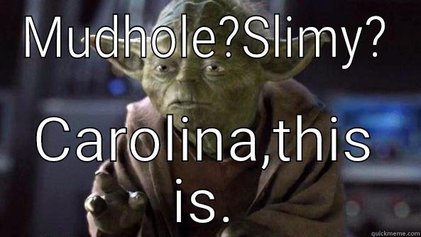 MUDHOLE?SLIMY? CAROLINA,THIS IS. True dat, Yoda.