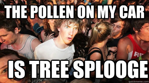 The pollen on my car Is tree splooge  Sudden Clarity Clarence