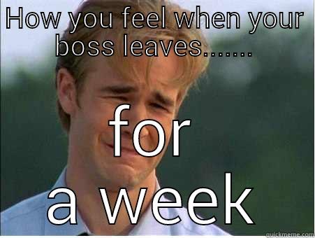 Don't leave us boss.... No - HOW YOU FEEL WHEN YOUR BOSS LEAVES....... FOR A WEEK 1990s Problems
