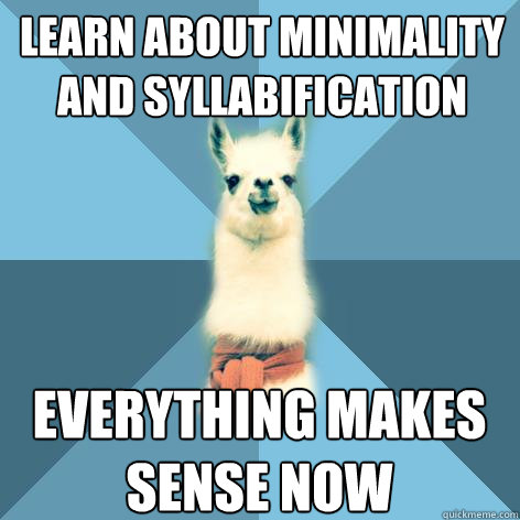 Learn about minimality and syllabification everything makes sense now  Linguist Llama