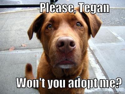                   PLEASE, TEGAN                                                   WON'T YOU ADOPT ME? Misc