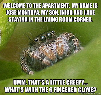 Welcome to the apartment.  My name is Jose Montoya. My son, Inigo and I are staying in the living room corner. Umm, that's a little creepy... what's with the 6 fingered glove?  Misunderstood Spider