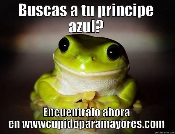 BUSCAS A TU PRINCIPE AZUL? ENCUENTRALO AHORA EN WWWCUPIDOPARAMAYORES.COM Fascinated Frog