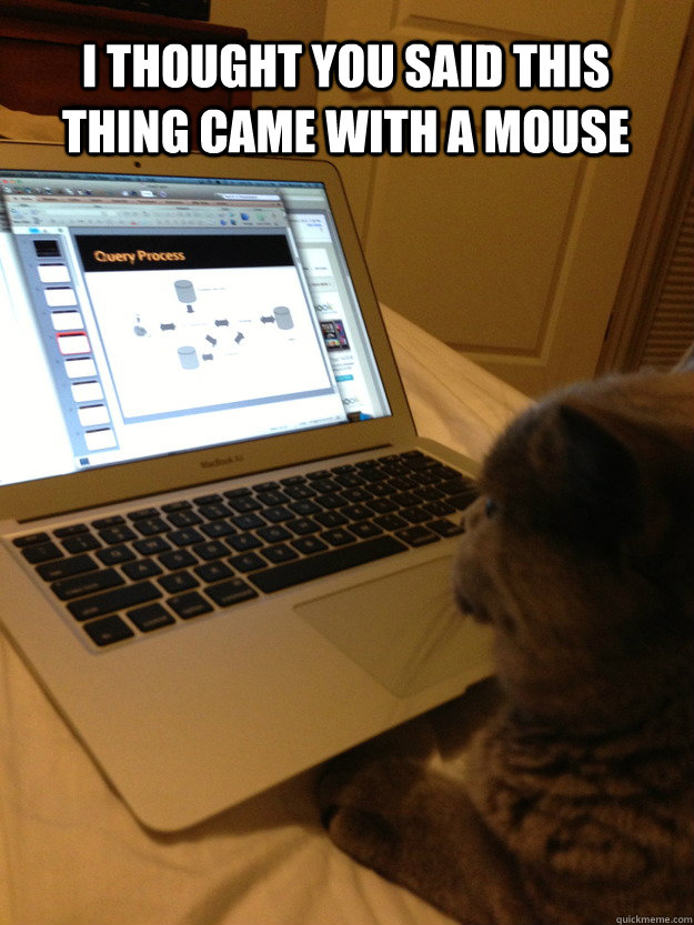I thought you said this thing came with a mouse - I thought you said this thing came with a mouse  Disinterested Cat