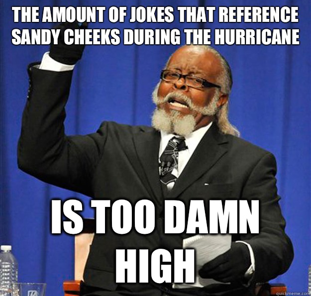 The amount of jokes that reference Sandy Cheeks during the Hurricane Is too damn high - The amount of jokes that reference Sandy Cheeks during the Hurricane Is too damn high  Jimmy McMillan