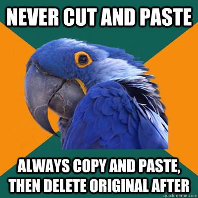 Never cut and paste always copy and paste, then delete original after  Paranoid Parrot