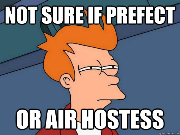 Not sure if prefect Or air hostess - Not sure if prefect Or air hostess  Futurama Fry
