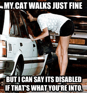 My cat walks just fine But I can say its disabled if that's what you're into.   Karma Whore